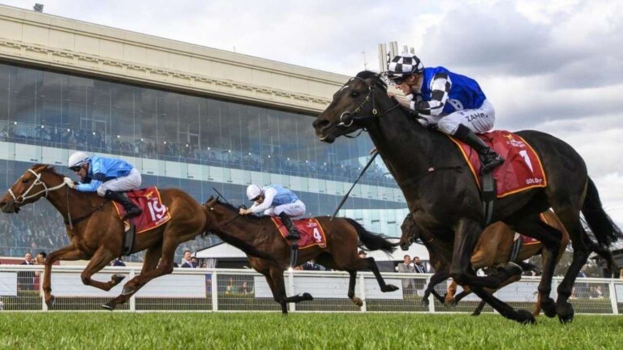 Gold Trip's trainers bullish about Melbourne Cup following ... Image 1